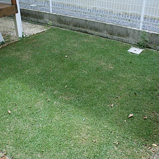 芝生の育て方 芝生の手入れと育て方 芝生ガーデニング
