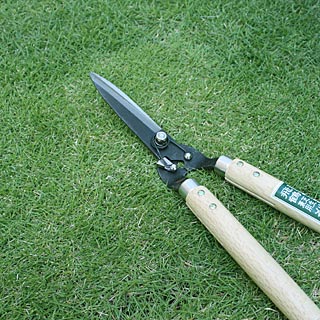 芝生の道具 芝生の手入れと育て方 芝生ガーデニング