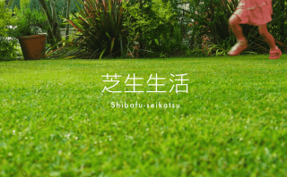 芝生の手入れと育て方 芝生ガーデニング